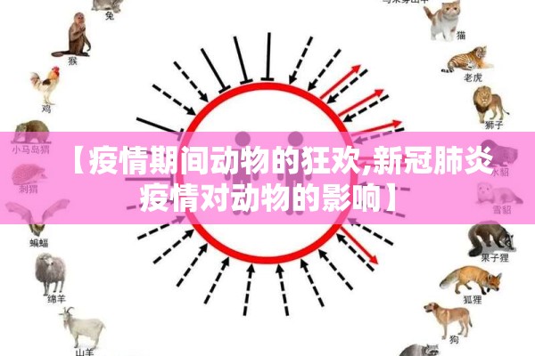 甘肃兰州疫情视频/兰州汛情