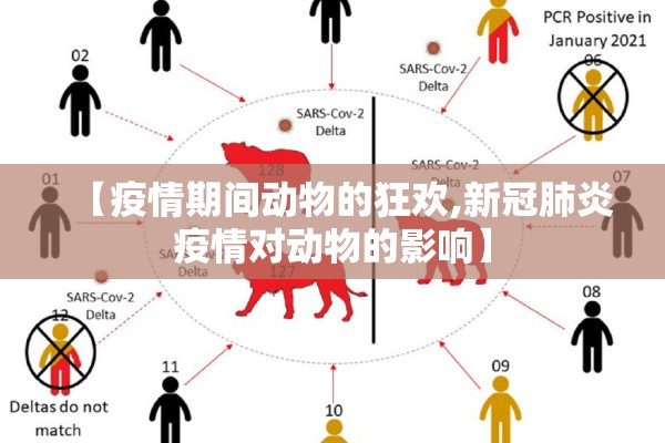 【疫情期间动物的狂欢,新冠肺炎疫情对动物的影响】 【疫情期间动物的狂欢,新冠肺炎疫情对动物的影响】
