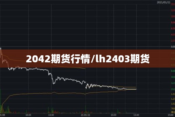 2042期货行情/lh2403期货