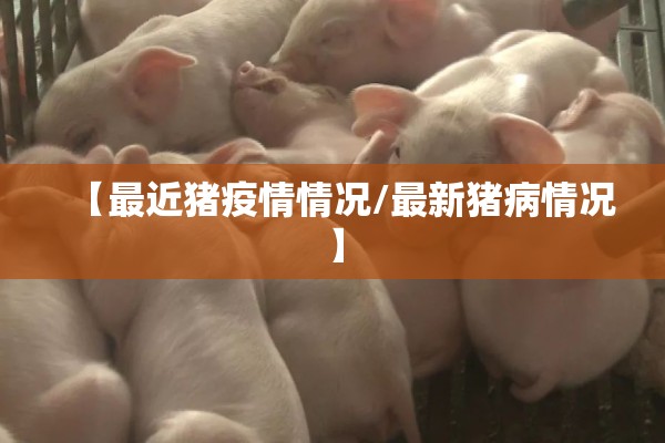 【最近猪疫情情况/最新猪病情况】