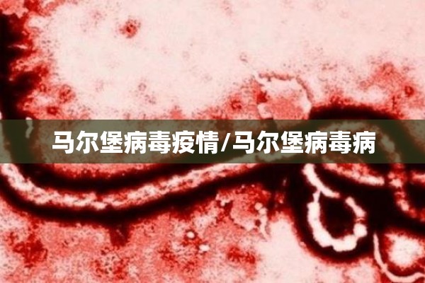 马尔堡病毒疫情/马尔堡病毒病