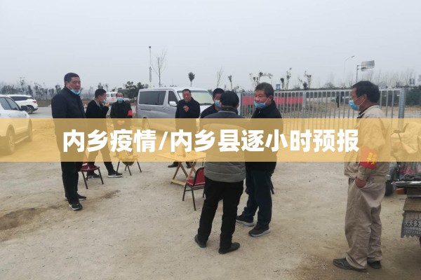 内乡疫情/内乡县逐小时预报