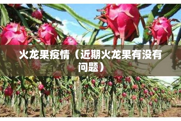 【疫情防控宣传语mp3广播/防止疫情宣传词】