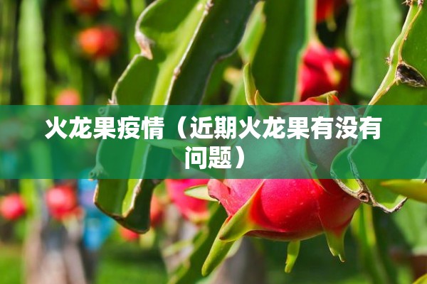 火龙果疫情（近期火龙果有没有问题）
