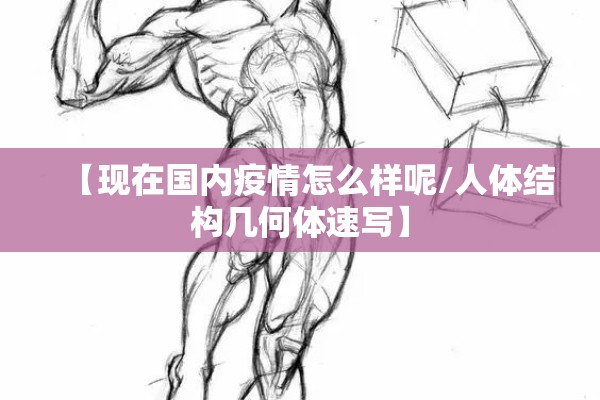 【现在国内疫情怎么样呢/人体结构几何体速写】