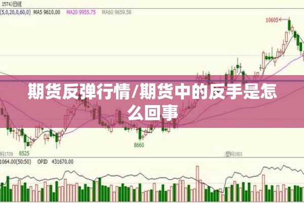 期货反弹行情/期货中的反手是怎么回事 期货反弹行情/期货中的反手是怎么回事