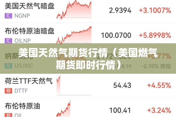 美国天然气期货行情(美国燃气期货即时行情) 美国天然气期货行情(美国燃气期货即时行情)