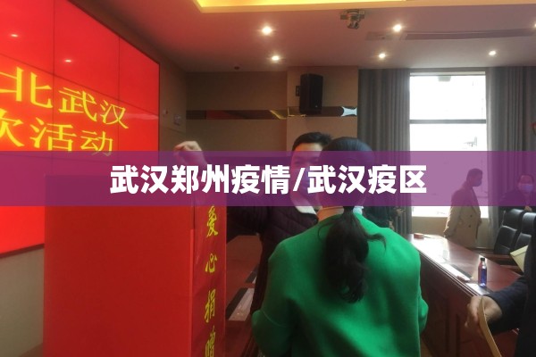 武汉郑州疫情/武汉疫区