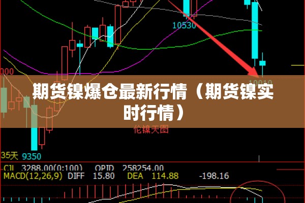 期货镍爆仓最新行情（期货镍实时行情）