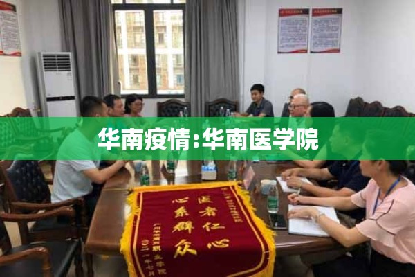港区疫情:港区是哪个地方