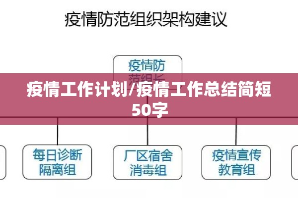 疫情工作计划/疫情工作总结简短50字