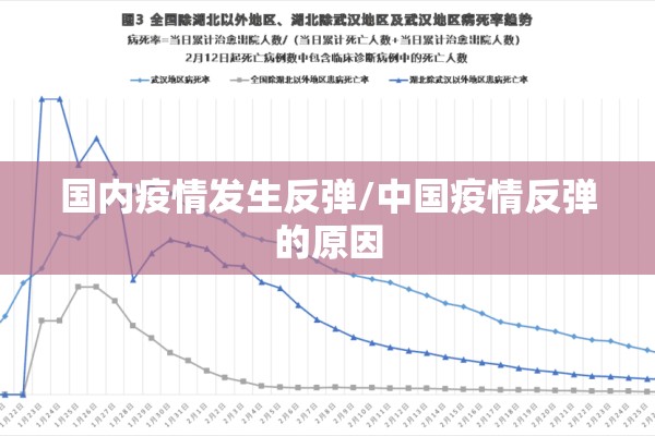 国内疫情发生反弹/中国疫情反弹的原因