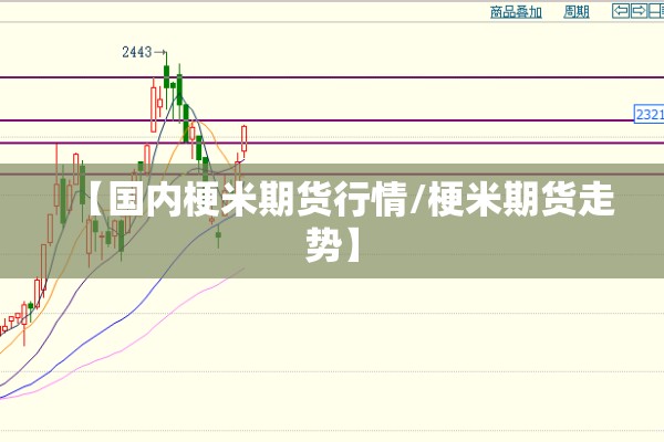 国内疫情发生反弹/中国疫情反弹的原因