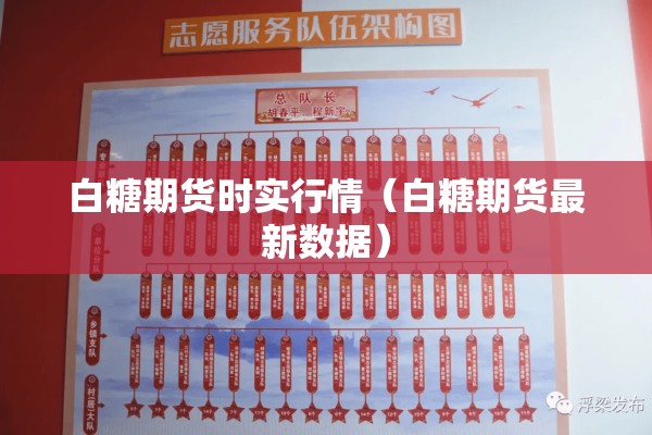 【根据疫情/建水共享电单车】