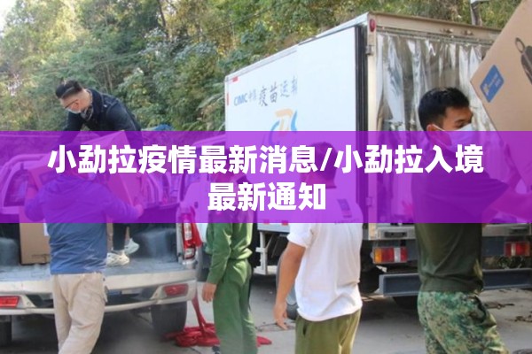 疫情防控督查:疾控中心督导总结简短