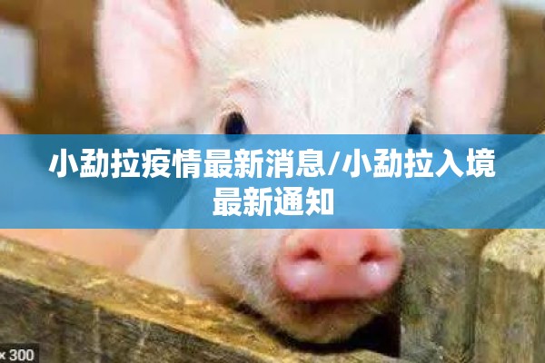 小勐拉疫情最新消息/小勐拉入境最新通知