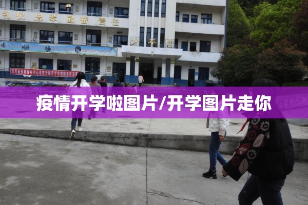 甲醇期货行情走势:甲醇期货实时走势图