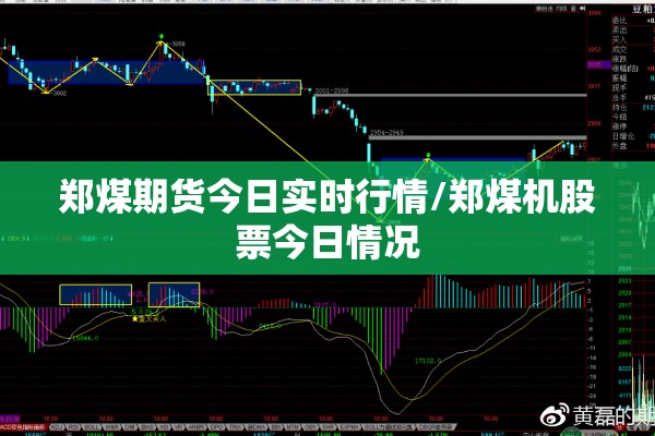 都城雅颂居防疫情:雅都园最新进展