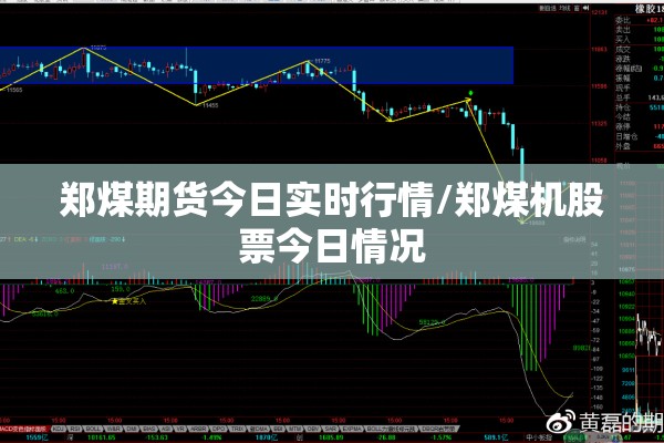 郑煤期货今日实时行情/郑煤机股票今日情况 郑煤期货今日实时行情/郑煤机股票今日情况