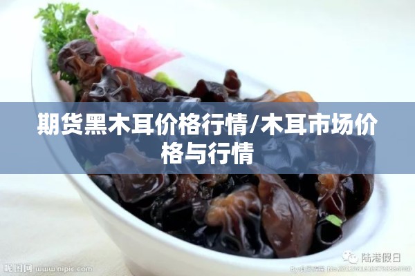 渤海期货行情软件:渤海期货APP使用方法
