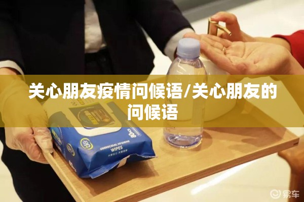 期货黑木耳价格行情/木耳市场价格与行情