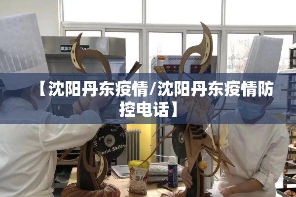 【沈阳丹东疫情/沈阳丹东疫情防控电话】