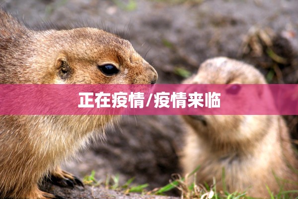 【疫情作文素材大全/优秀作文抗击疫情】