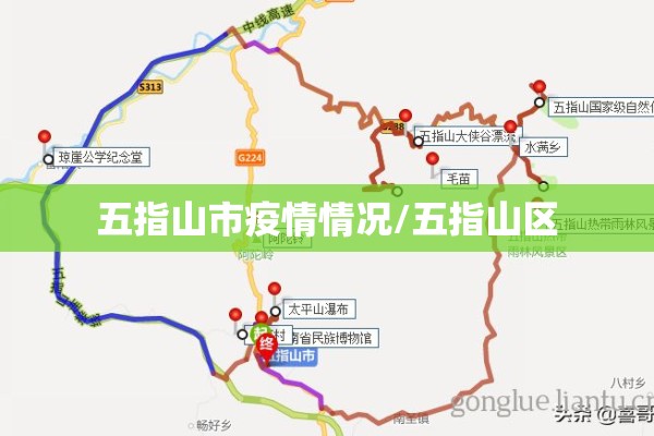 疫情谣言粉碎机（带你看懂疫情下的谣言）