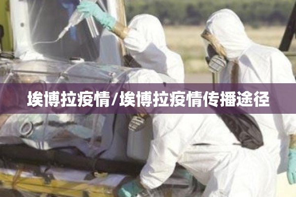 【美国各个州疫情分布图,美国各州分布地图中文版】