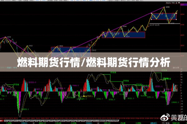 燃料期货行情/燃料期货行情分析