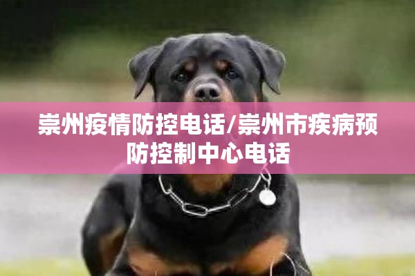 疫情抖音最火纯音乐/疫情抖音最火纯音乐是什么