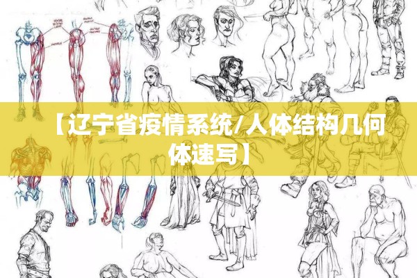 【辽宁省疫情系统/人体结构几何体速写】 【辽宁省疫情系统/人体结构几何体速写】