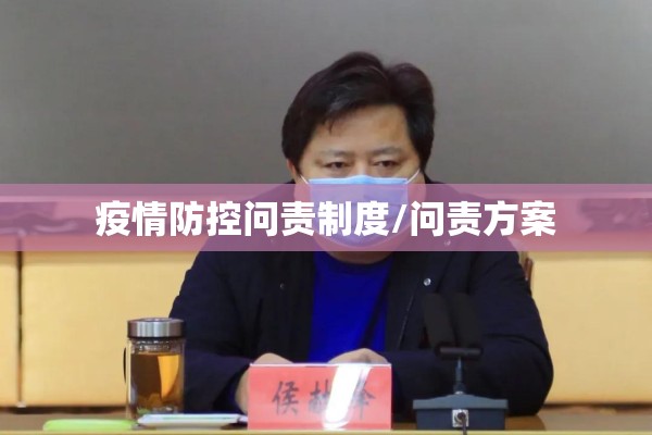 疫情防控问责制度/问责方案