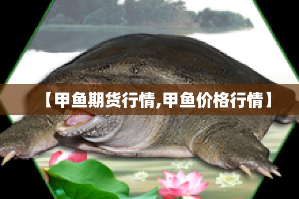 【甲鱼期货行情,甲鱼价格行情】 【甲鱼期货行情,甲鱼价格行情】
