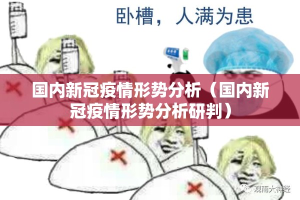 国内新冠疫情形势分析（国内新冠疫情形势分析研判）