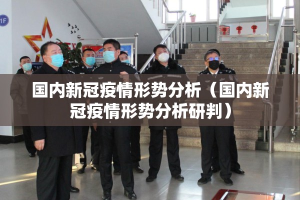 国内新冠疫情形势分析（国内新冠疫情形势分析研判）