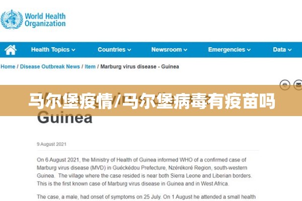 广州疫情怎么样/广州疫情严重吗
