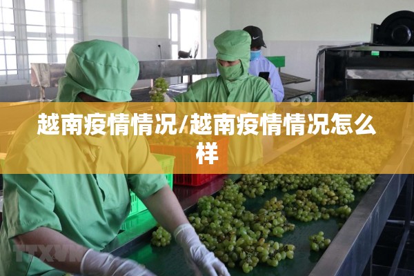 越南疫情情况/越南疫情情况怎么样 越南疫情情况/越南疫情情况怎么样