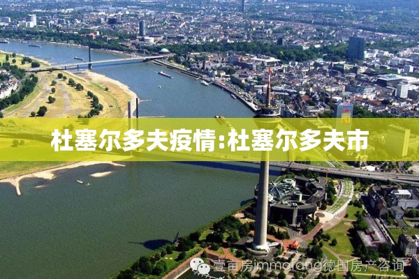 杜塞尔多夫疫情:杜塞尔多夫市