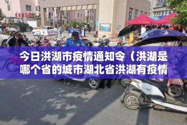 今日洪湖市疫情通知令（洪湖是哪个省的城市湖北省洪湖有疫情吗）