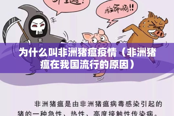 为什么叫非洲猪瘟疫情（非洲猪瘟在我国流行的原因）
