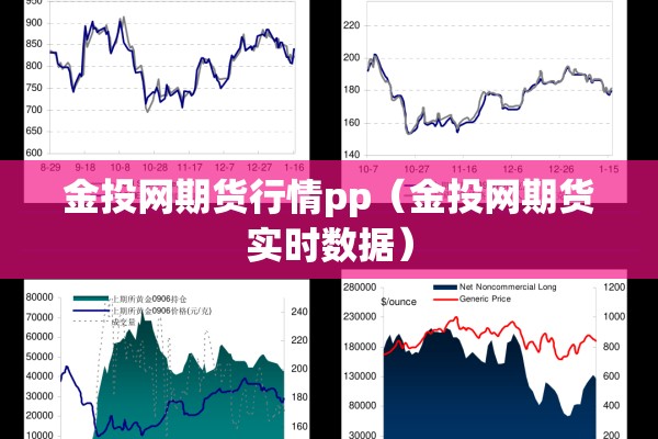 金投网期货行情pp（金投网期货实时数据）