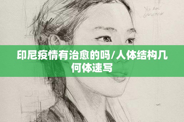 印尼疫情有治愈的吗/人体结构几何体速写