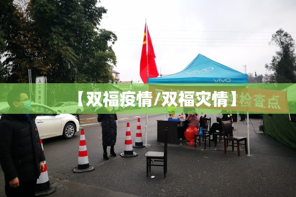 【双福疫情/双福灾情】