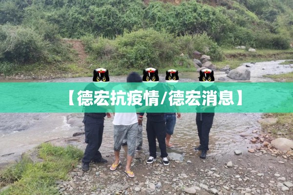 【德宏抗疫情/德宏消息】