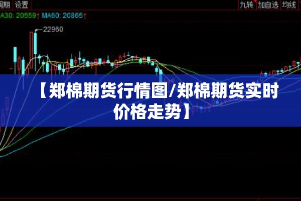 关于疫情的报告/关于疫情的报告文学作品