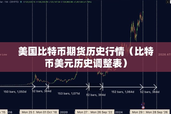 美国比特币期货历史行情(比特币美元历史调整表) 美国比特币期货历史行情(比特币美元历史调整表)