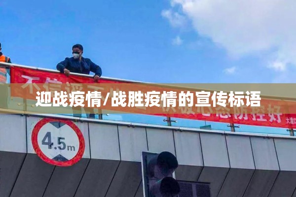 迎战疫情/战胜疫情的宣传标语 迎战疫情/战胜疫情的宣传标语