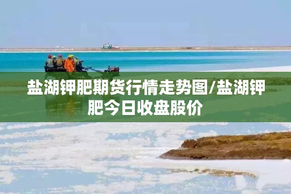 厦门疫情防控发布会（厦门肺炎疫情）