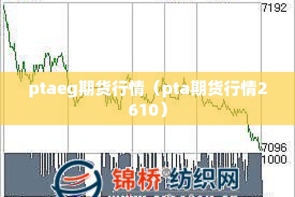 ptaeg期货行情(pta期货行情2610) ptaeg期货行情(pta期货行情2610)